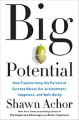 Big Potential : How Transforming the Pursuit of Success Raises Ou