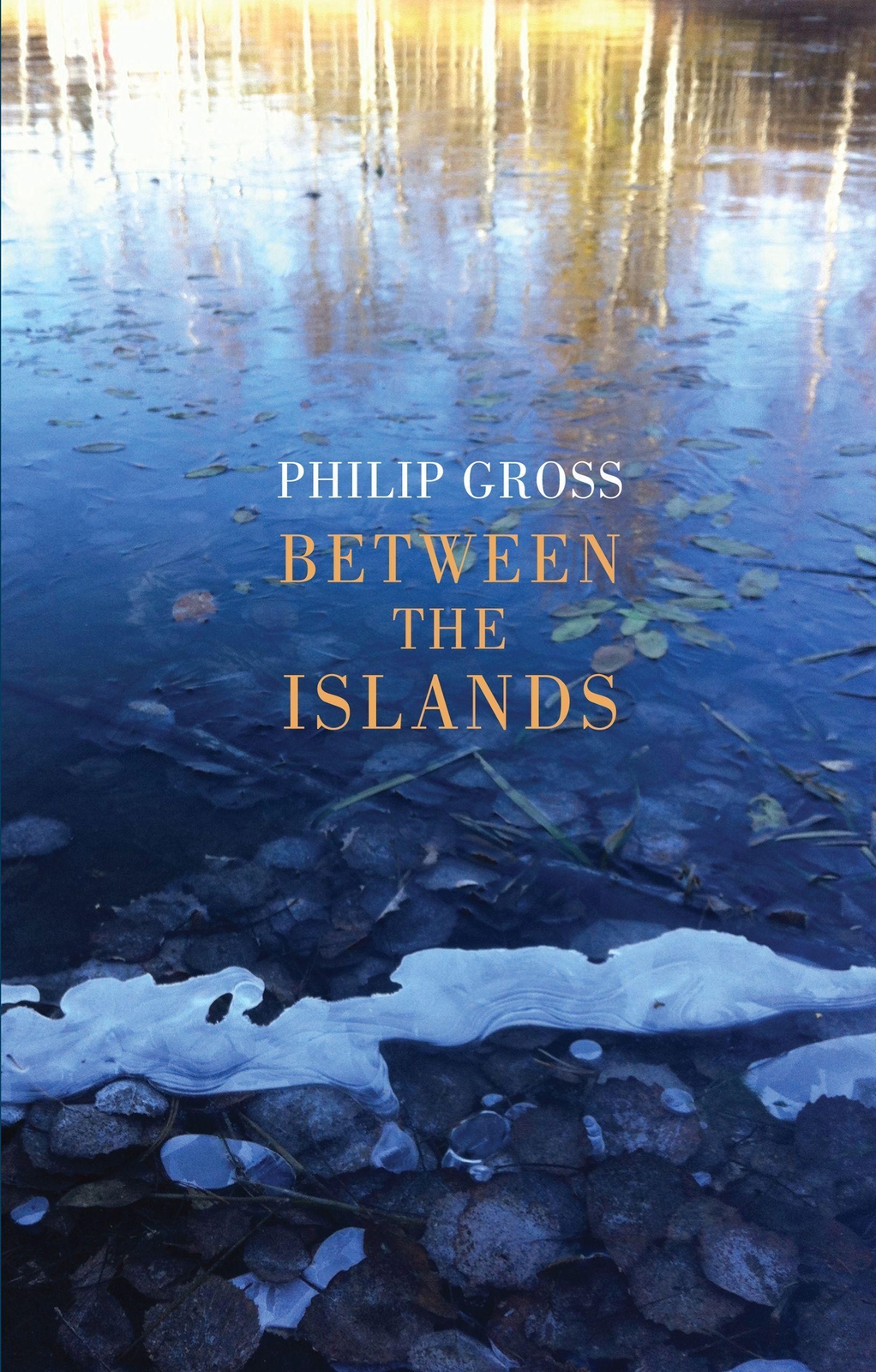 Thumbnail - Philip Gross | Between The Islands | Taschenbuch | Englisch (2020)
