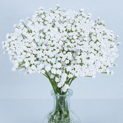 MAQIAHN 6 Baby Breath Artificial Flowers - Babies Breath Flowers
