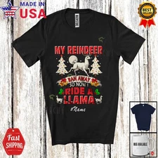 Custom Name My Reindeer Ran I Ride A Llama; Christmas Animal Lover T-Shirt