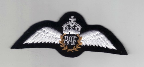 ROYAL AIR FORCE WW2 TYPE PILOTS WINGS IN WHITE - 1 X PADDED/1 X UNPADDED - Picture 2 of 3