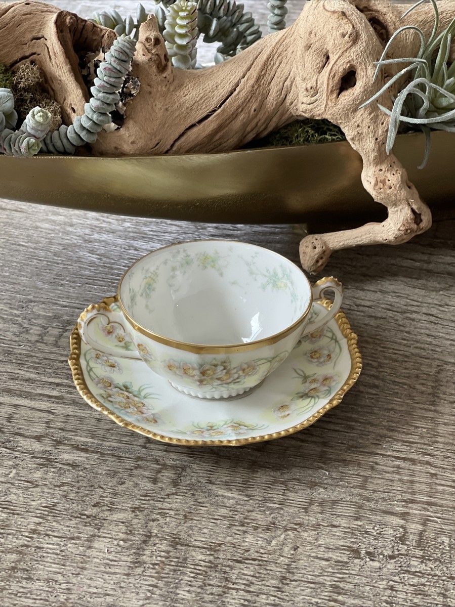 LIMOGES Elite Antique Limoges Teacup and saucer set Made in France