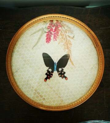Plateau papillon vintage bohème en bambou avec six sous-verres et support sous-verres - France