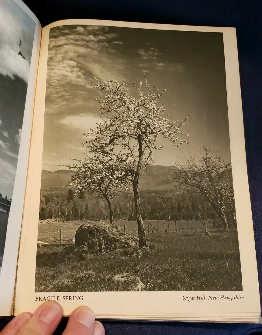 Picture 5 of 8