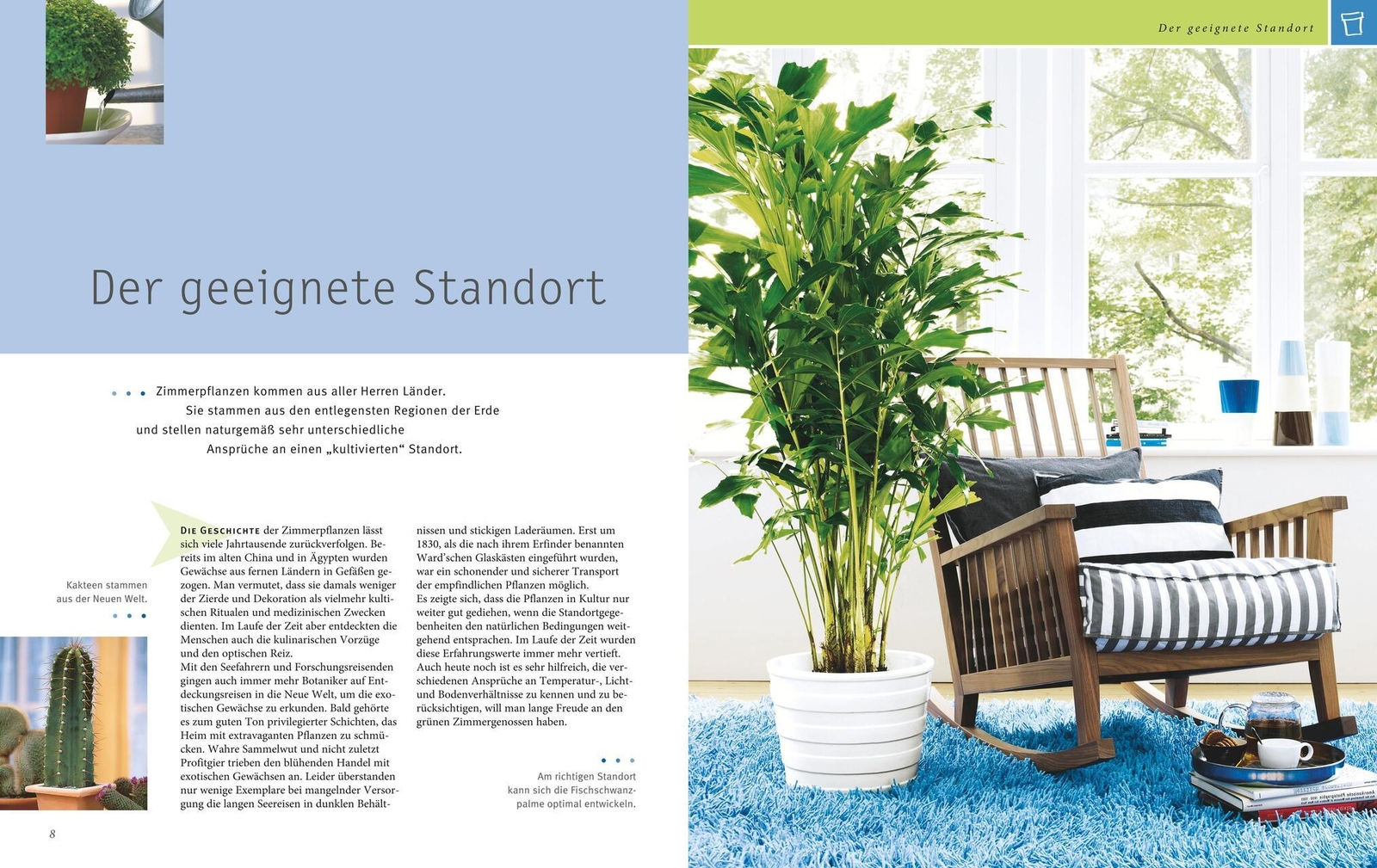 Thumbnail - Karin Greiner Zimmerpflanzen