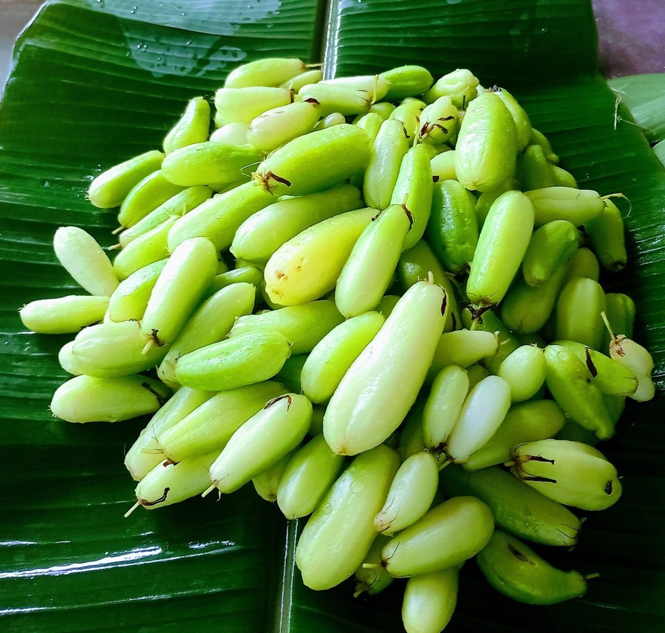 Bilimbi dried, Averrhoa, Organic, 100 Natural, Free shipping, Sri