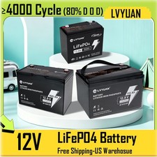 12v 100ah 115ah Lifepo4 Battery Deep Cycle 4000 Cycles Bms For Marine Off Grid