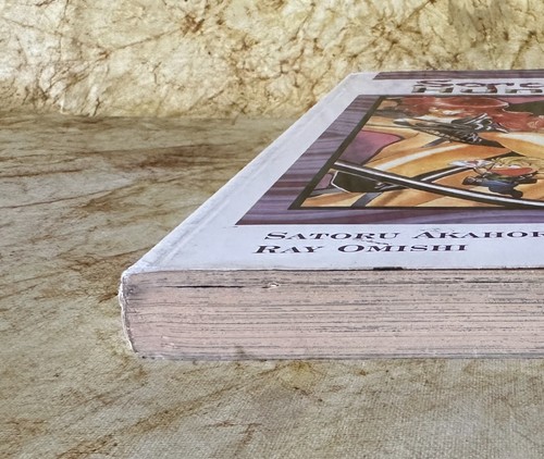 SORCERER HUNTERS Book 2 : Satoru Akahori & Ray Omishi : 2000 Trade Paperback - Picture 9 of 12