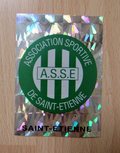 e PINS PIN FOOTBALL SOCCER FOOT ASSE SAINT ETIENNE FAN CLUB CARTE