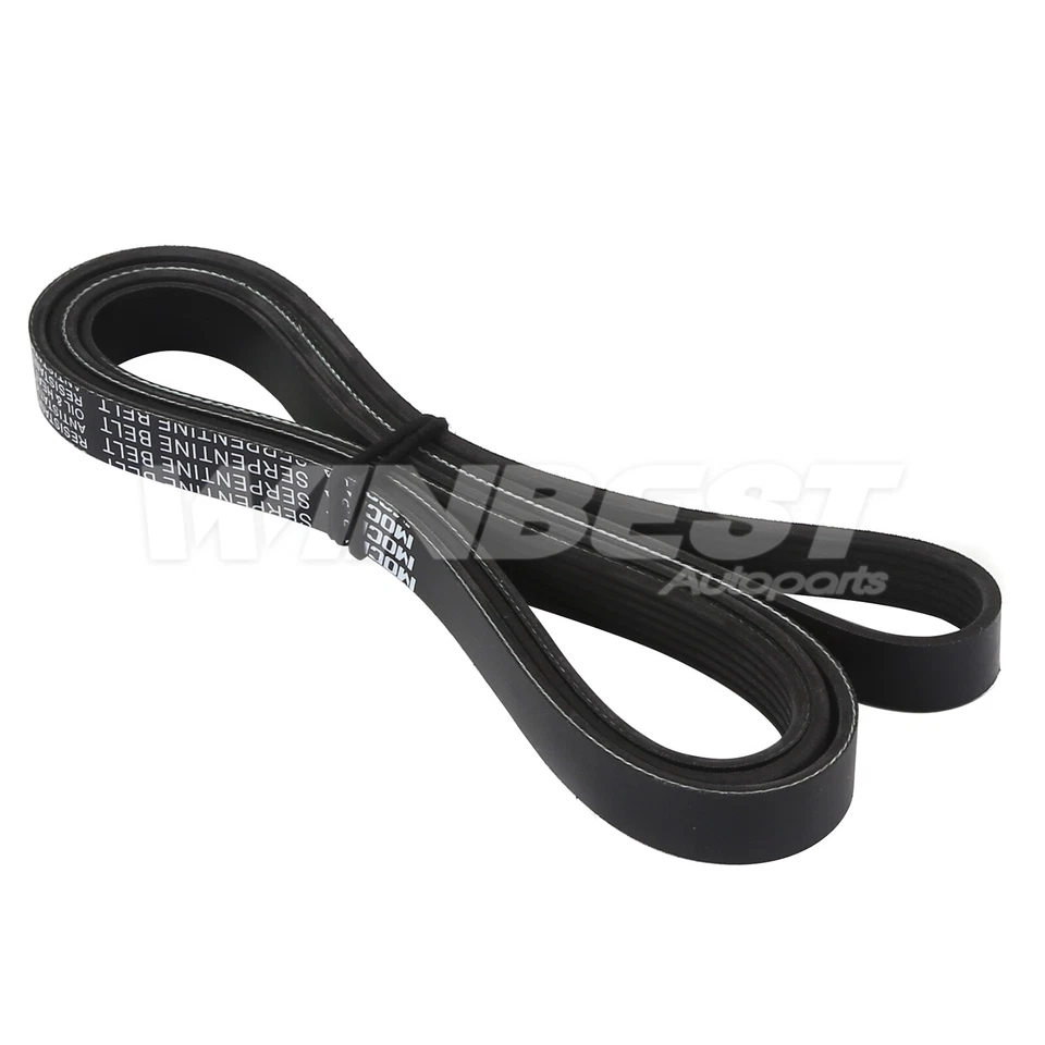 Cinturón serpentino EPDM 6PK2025 para Chevrolet Camaro Corvette 1998-2015 3,6 L 6,2 L Foto 4 de 4