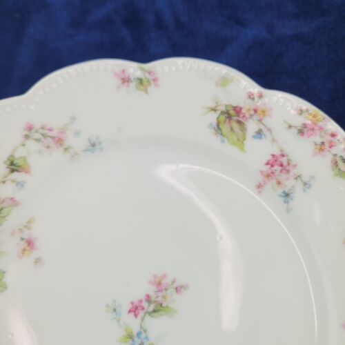 Vintage Haviland & Co Limoges Plate Blue and Pink Flowers Shabby Chic France - Picture 5 of 22