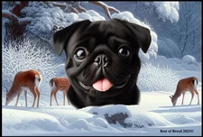 Pug Winter Wonderland Floor Mat