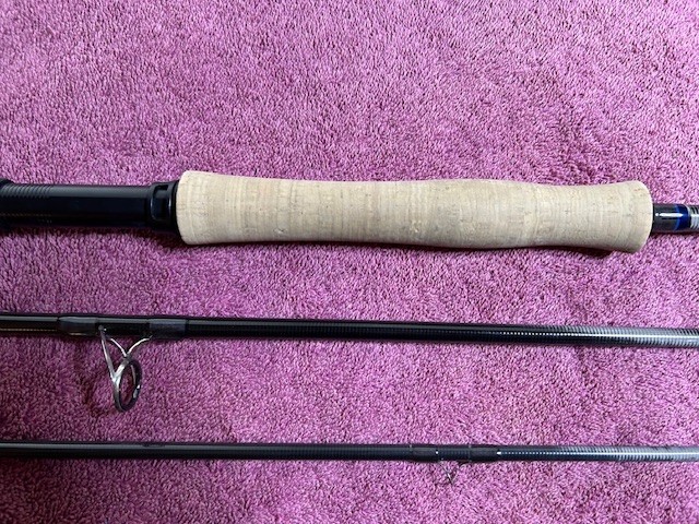 Scott 10wt 10 Weight 9'0