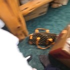 Picture 4 of 7