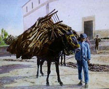 Boy, Mule, and Cork Load, Spain, Circa 1930's Magic Lantern Glass Slide