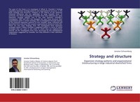 Strategy And Structure Jonatan Schwamberg