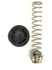 Pentair 77707-0010 Thermal Regulator Kit For Max-E-Therm and MasterTemp(R) Heate