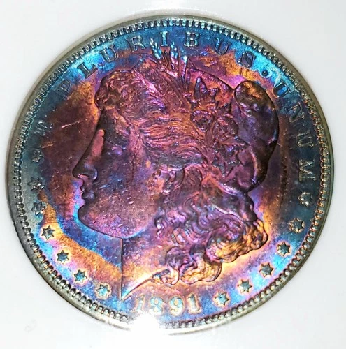 1891-S MORGAN SILVER DOLLAR $1 MS64 COIN Rare Toning