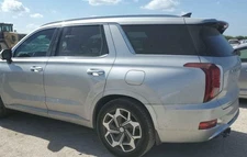 2020-2024 Hyundai Palisade LH Driver Roof Curtain Airbag OEM