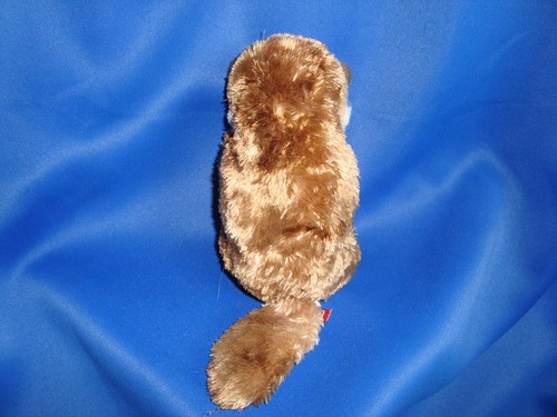 2018 Douglas Cuddle Toy Lil Baby Raccoon Plush & Beans 6" tall - Imagen 4 de 9