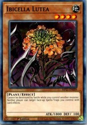 Ibicella Lutea MP21-EN009 Common 1st Edition Yu-Gi-Oh