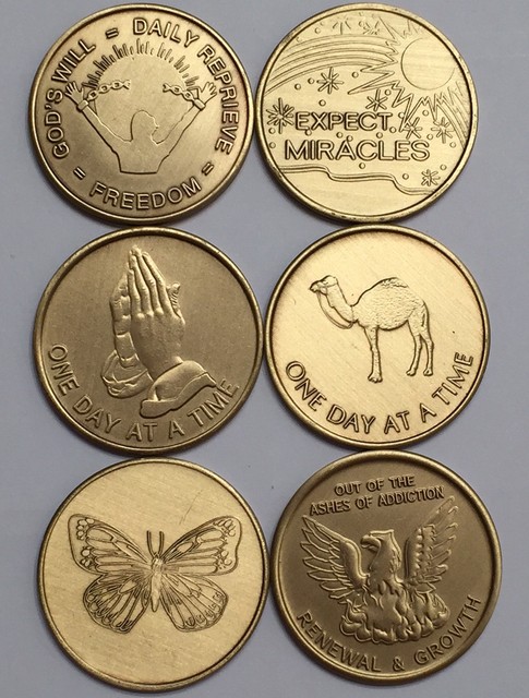 Set 6 Bronze Aa Medallions Chips Serenity Prayer One Day At A Time Camel Praying Tokens Recovery Programs Coins Paper Money