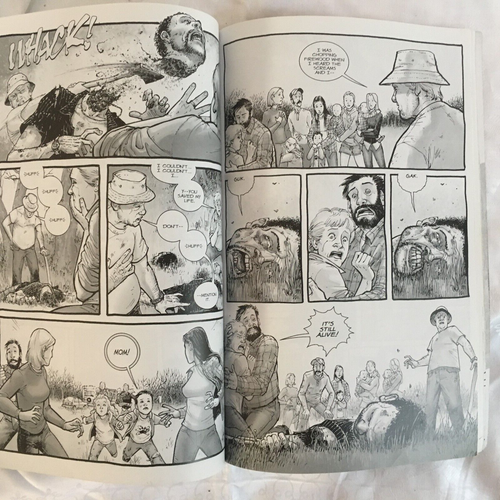 The Walking Dead Graphic Novel TPB Volume 1 Days Gone Bye Image Comics Paperback - Picture 6 of 9