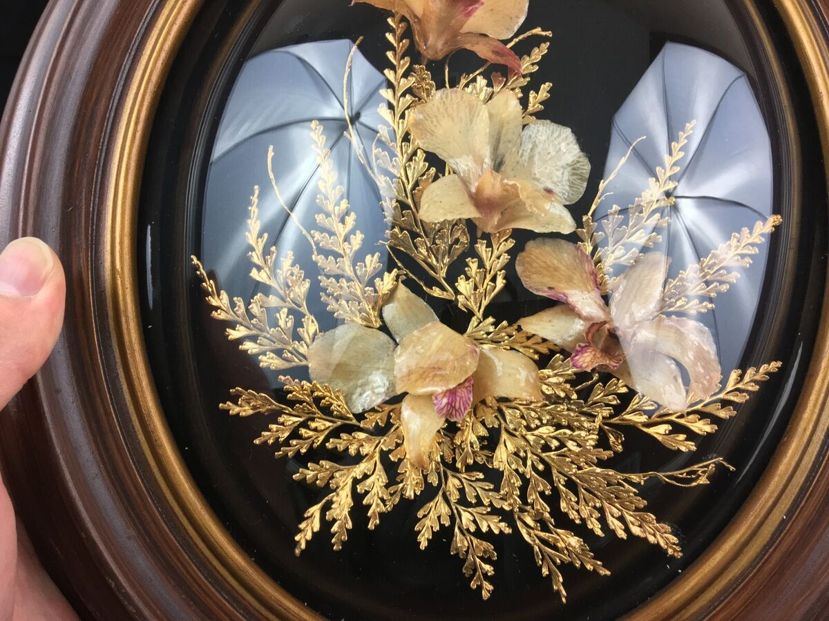 Flora Hawaii Maui LARGE Flower 24K Gold Dipped Hawaiian Fern Flora Hawaii Maui LARGE Flower 24K Gold Dipped Hawaiian Fern