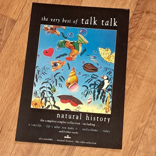 TALK TALK Natural History The Best of 1991 A4 magazine promo advert artwork - Bild 10 von 11