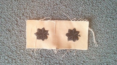 Pair of cloth US Lieutenant Colonel insignia balck on desert, never sewn or cut!