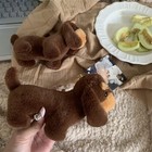 Bild 6 von 12