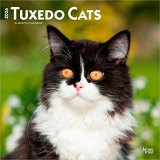 Tuxedo Cats | 2026 12x24" (Hanging) Monthly Square Wall Calendar | Plastic-Free