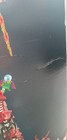 Bild 22 von 23