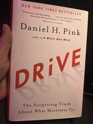 Drive : The Surprising Truth about What Motivates Us by Daniel H. Pink (2009,...