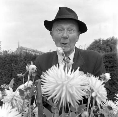 English horticulturalist broadcaster Fred Streeter with flowering - Old Photo