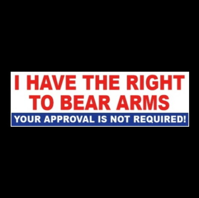 Gun Rights Bumper Sticker