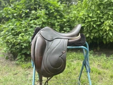 Antares Cadence 2019