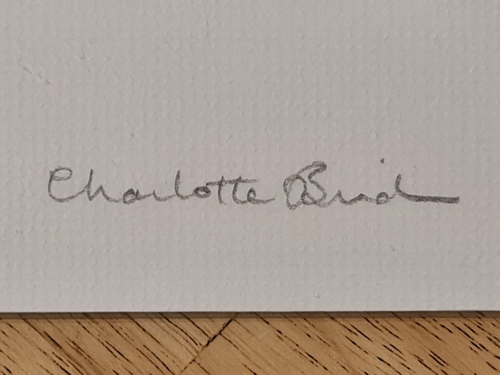 Photo Print 'Ragtail 'N' Tickle'-by Charlotte Bird-A Modern Day Fairytale-Signed - Picture 8 of 11