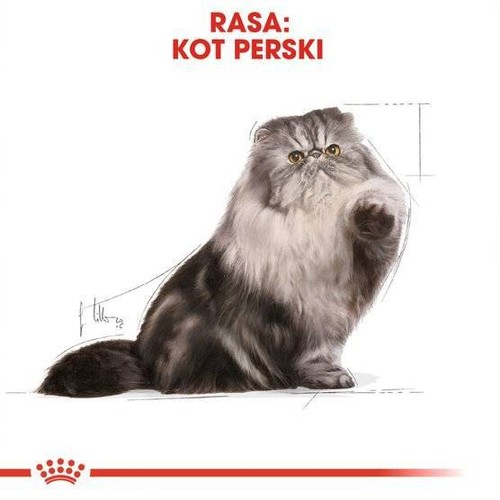 ROYAL CANIN Perser Erwachsene 4kg Trockenfutter für erwachsene Perserkatzen - Bild 4 von 9