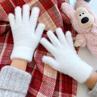 Women Winter Gloves | Mink Velvet Plush Warm Five-Finger Cold-Proof Mittens