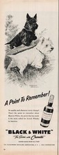 1957 VTG Print Ad Point to Remember Dogs Black & White Scotch Character