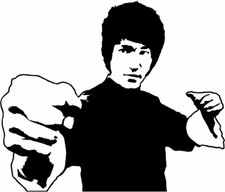 Bruce Lee vinyl decal sticker Green Hornet Kung Fu Karate Enter the Dragon