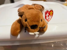 RARE "BUCKY" THE BEAVER TY BEANIE BABY W/ Errors PVC Pellets & Style #4016