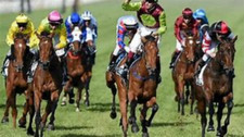 The Gem Of All Horse Racing Systems