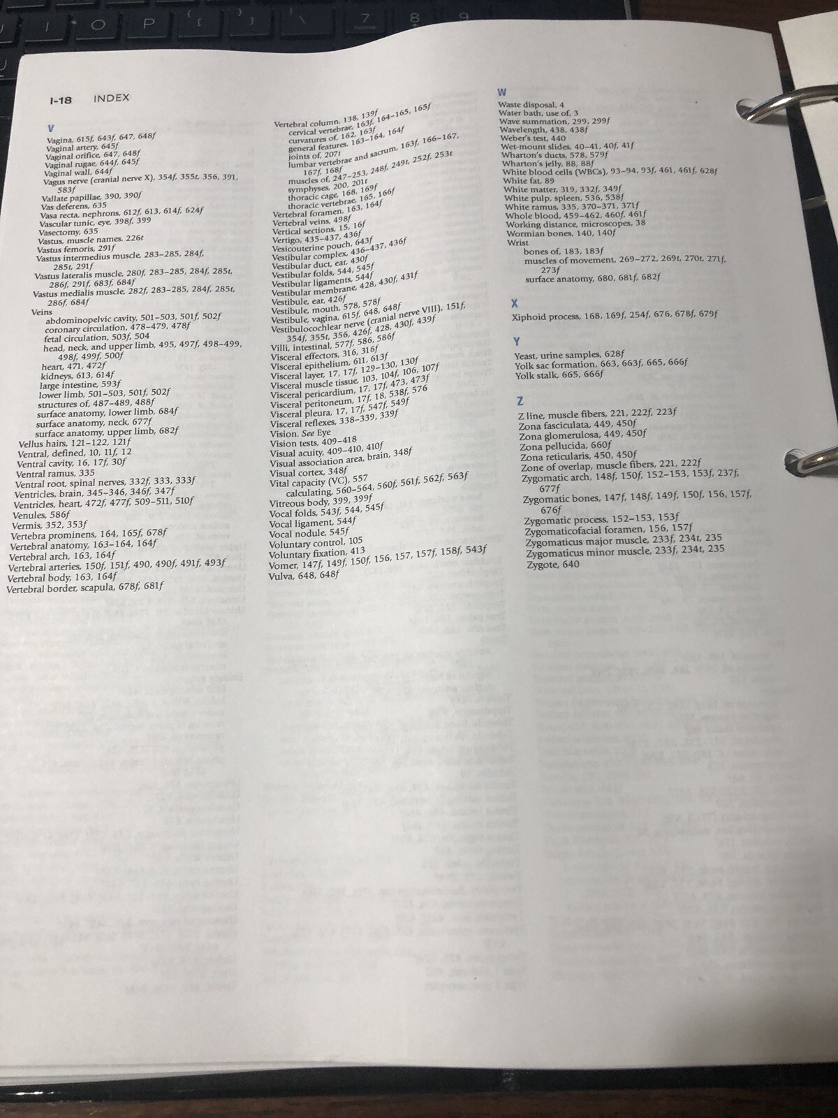 Lab Manual For Anatomy & Physiology featuring Martini Art Main