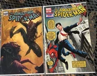 Lot: Amazing Spider-Man #573 Colbert variant and Djurdjevic Zombie variant NM