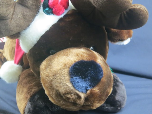 jumbo stuffed moose