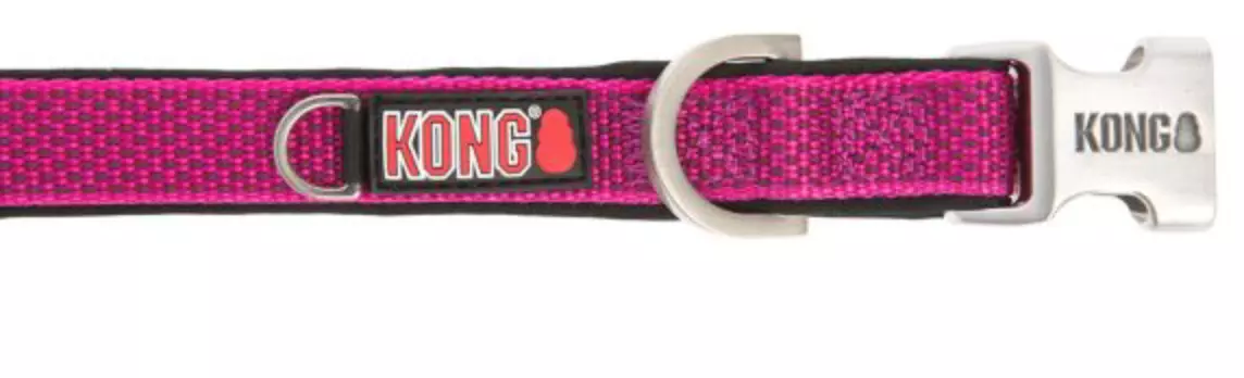 Kong clearance paracord collar