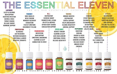 YOUNG LIVING ESSENTIAL OILS - 5ML & 15ML - WHOLESALE LESS 15% +