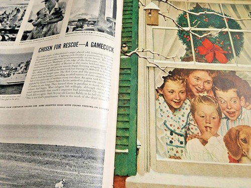 December 24, 1951 LIFE Magazine 50s Advertising ads add ad FREE SHIP 25 Dec 12 - Picture 12 of 15